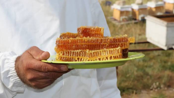 Antalya Büyükşehir’den Ücretsiz Tarım Eğitimleri