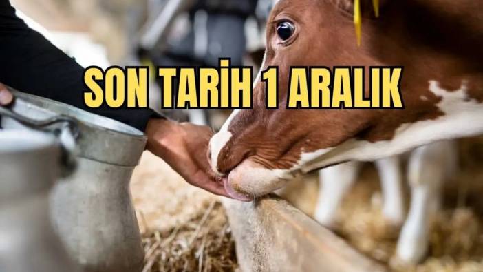 Antalya İl Tarım Müdürlüğü Duyurdu! Üretici İçin O Destekler Başladı