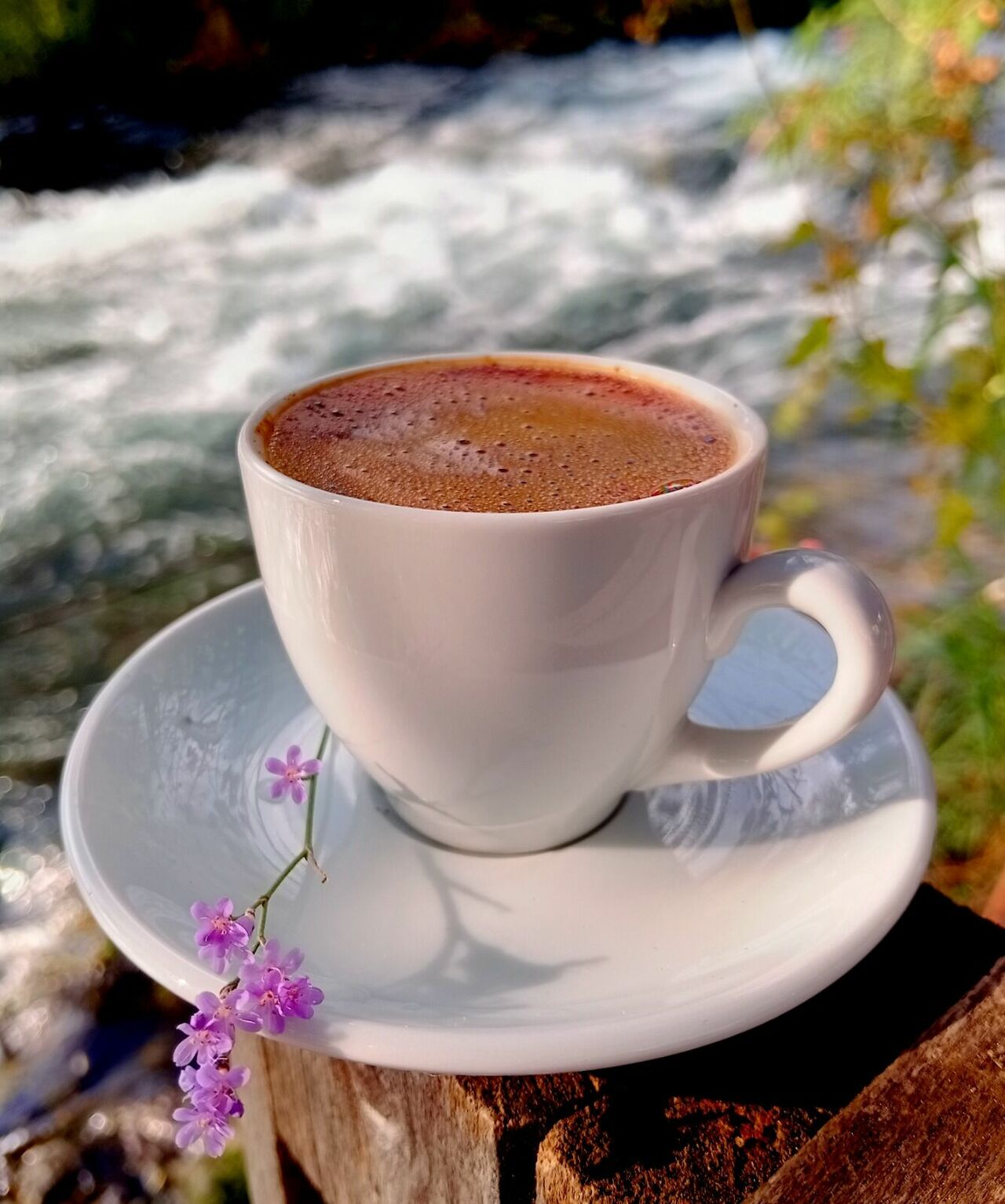 WhatsApp Image 2022-12-10 at 20.02.42 (2)