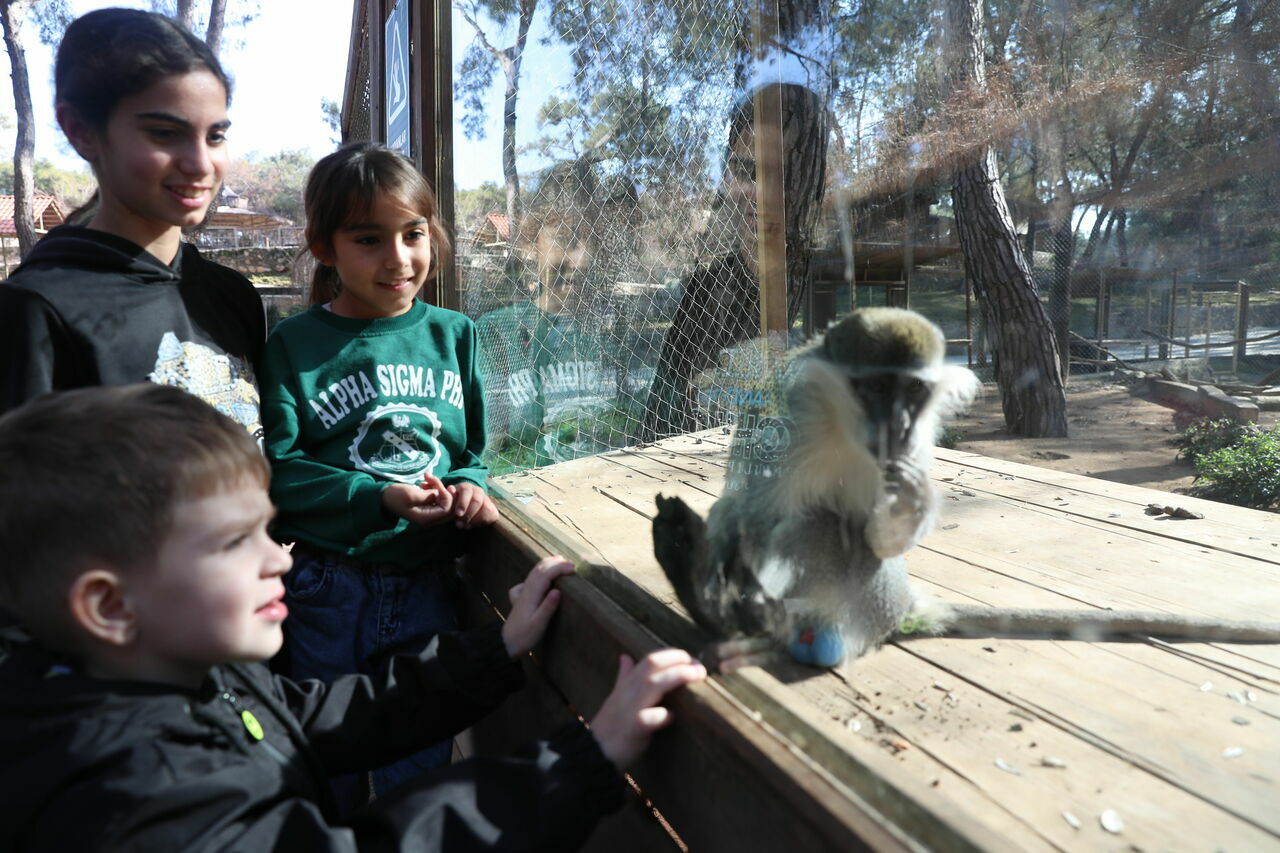 Hayvanat Bahçesi (11)