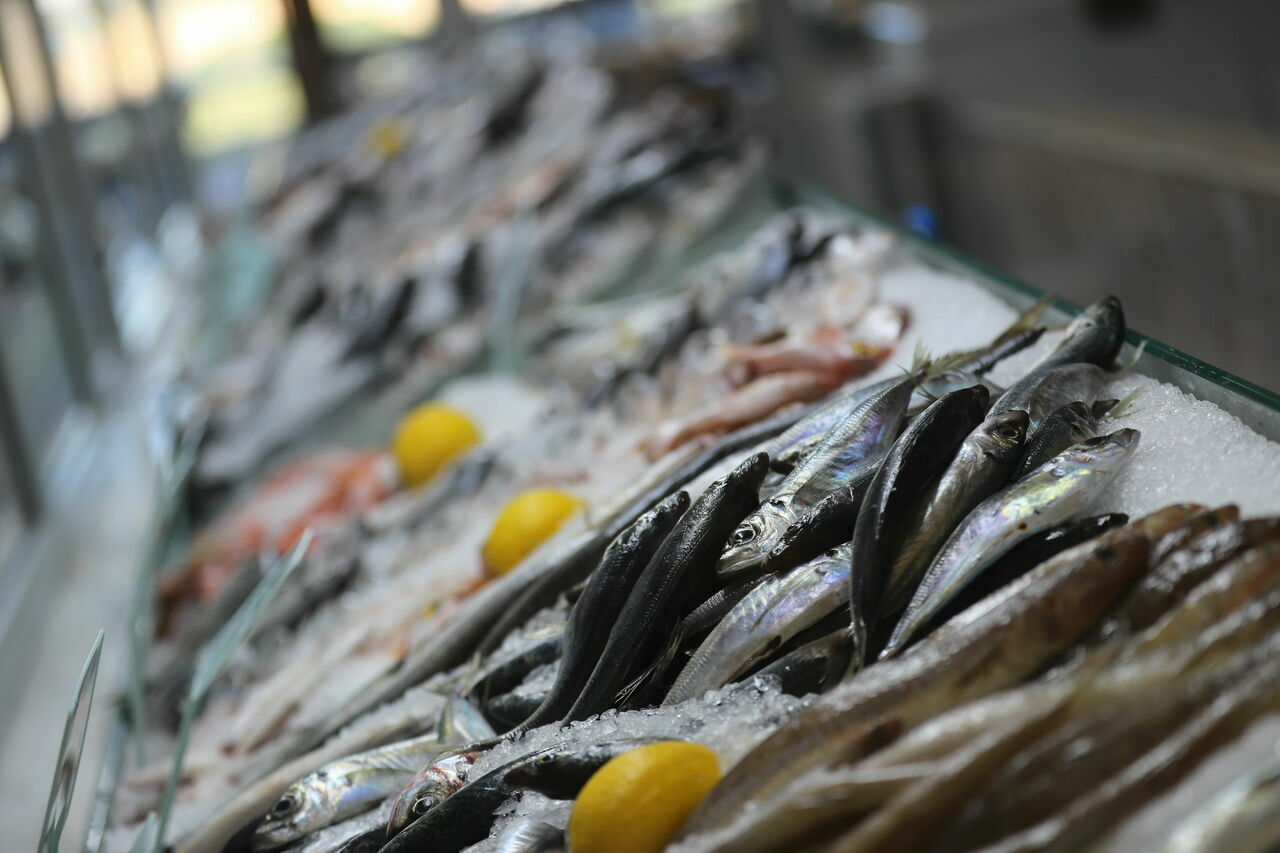 Ekdağ Balık Çarşısı (1)