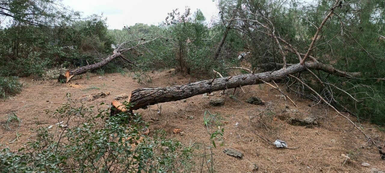 WhatsApp Image 2023-03-06 at 14.08.36