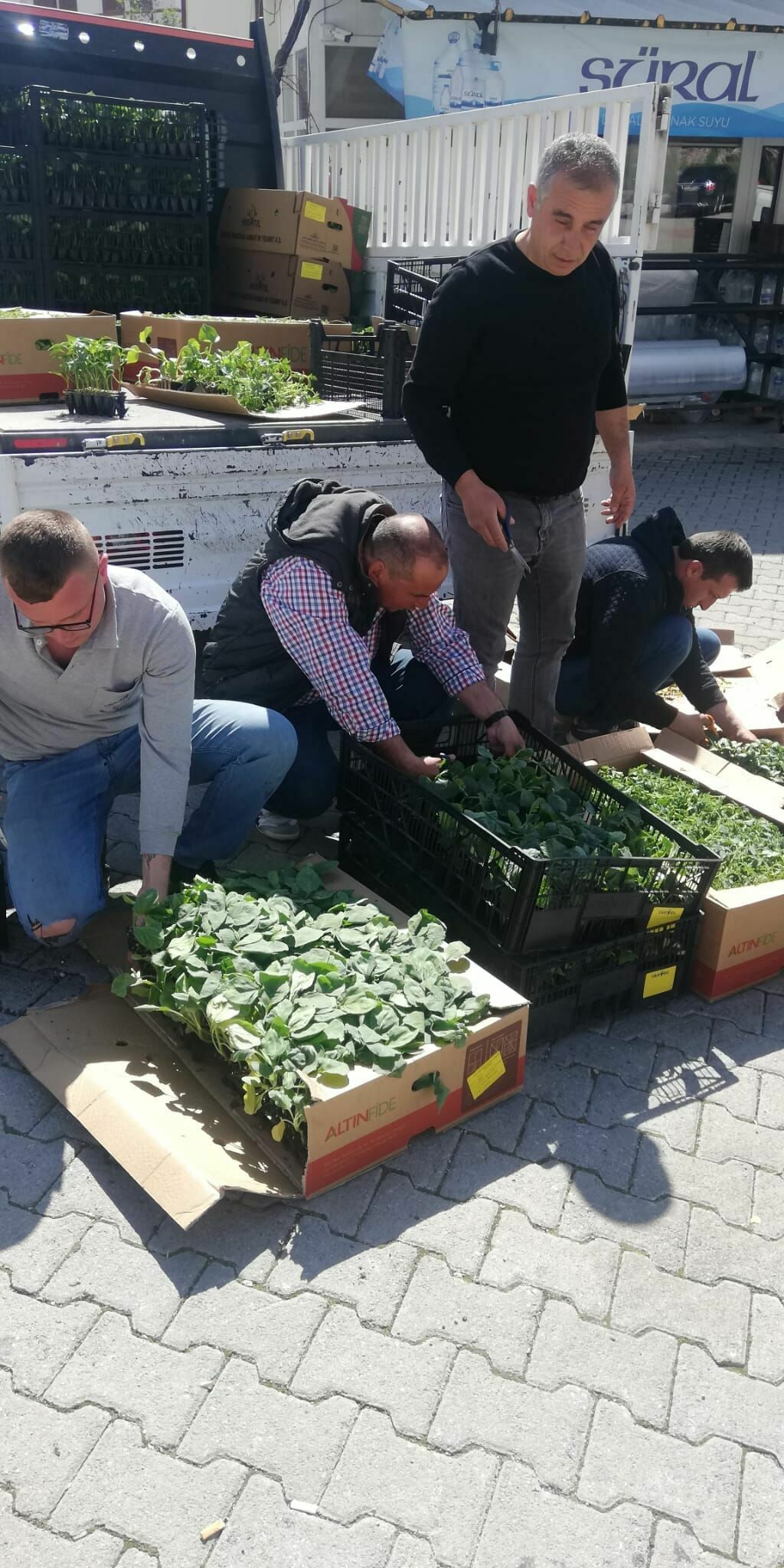 İbradı Belediyesinden Üreticisine Destek1