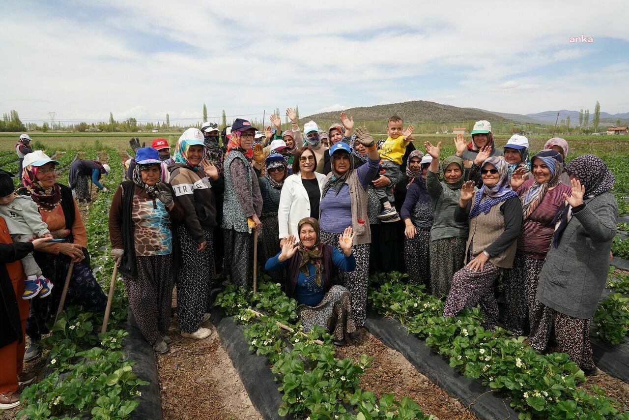 1c1d9856-2321-49a9-9bd3-a2bb2e0548a3-w