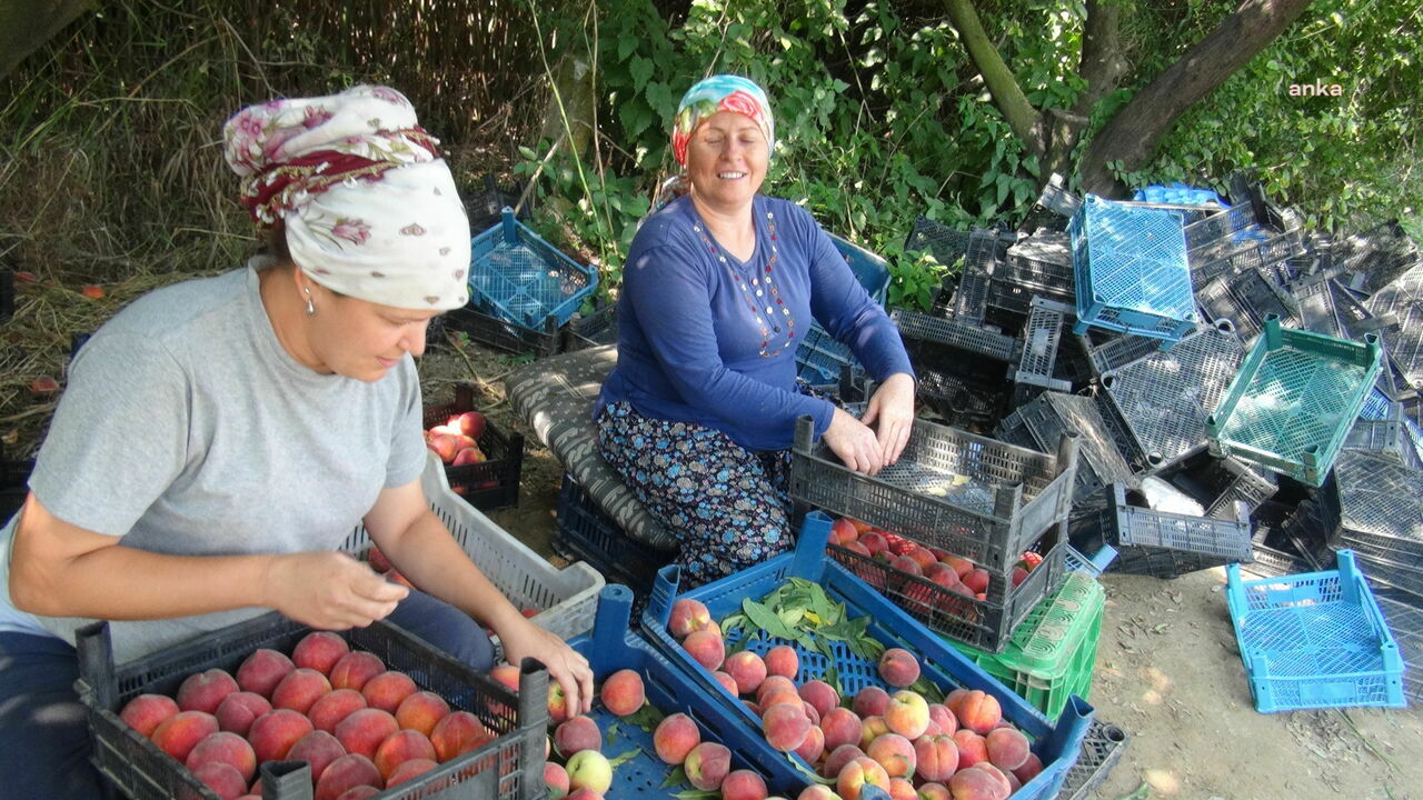 fe3e2620-dab7-4768-89a9-84d8d8a6b8f5-w