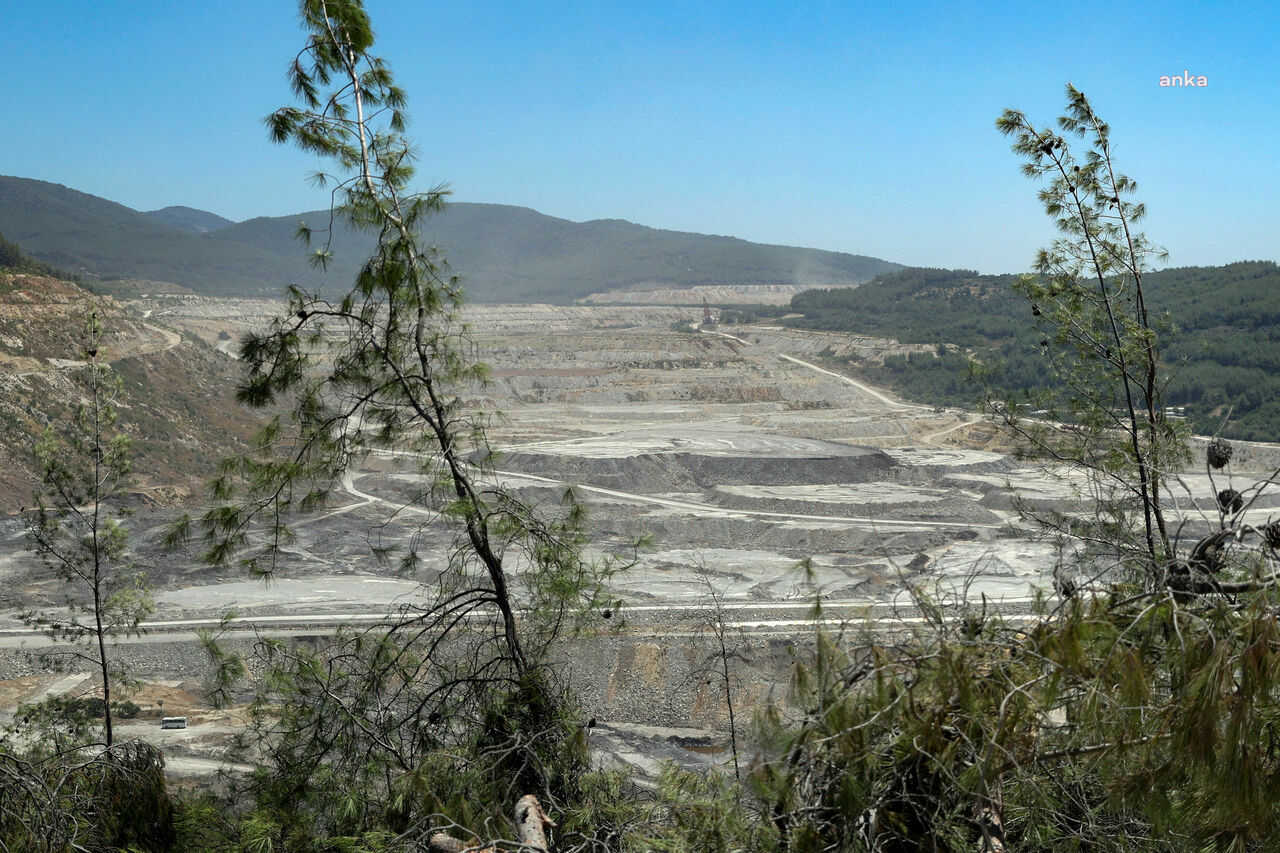 5b21808c-d3db-40aa-b0f4-716dcce1d4f5-w