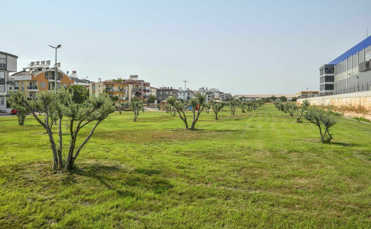 Altinovaya-12-bin-m2lik-yesil-vadi_6