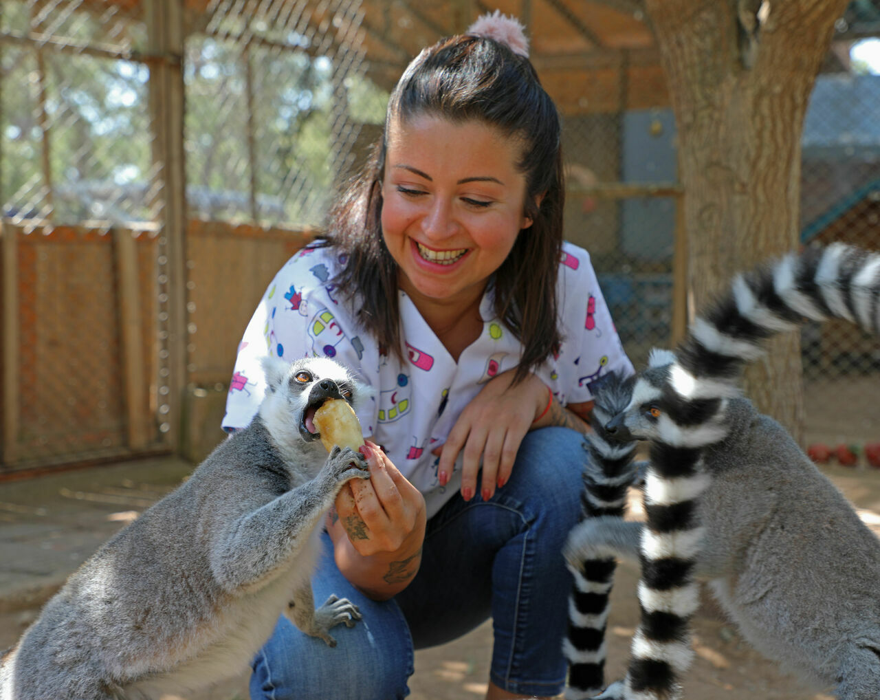 DOĞAL YAŞAM PARKI HAYVANLARA BUZLU MEYVE SERVİSİ (4)