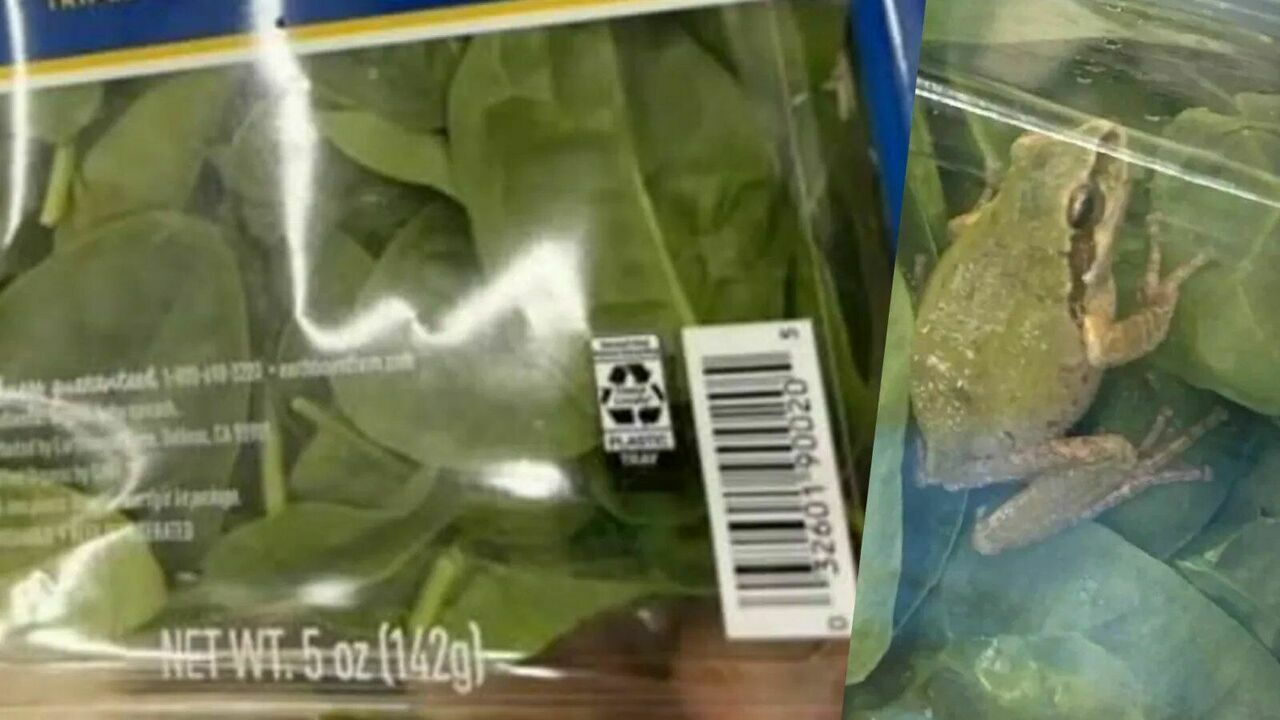 msg-1497314205-36391