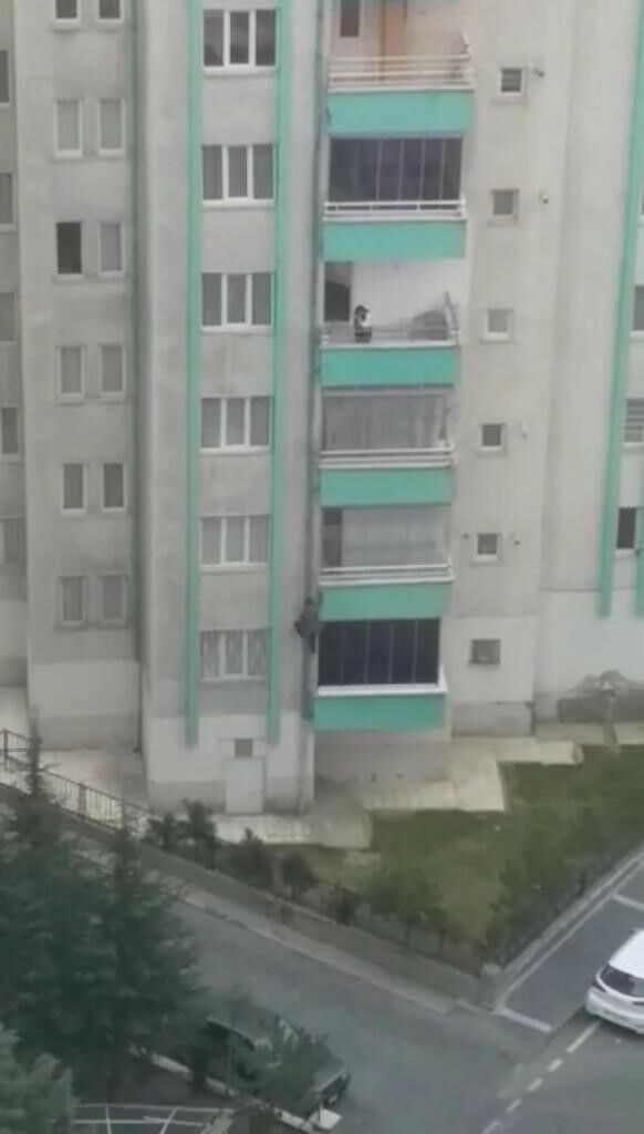 Aranan3