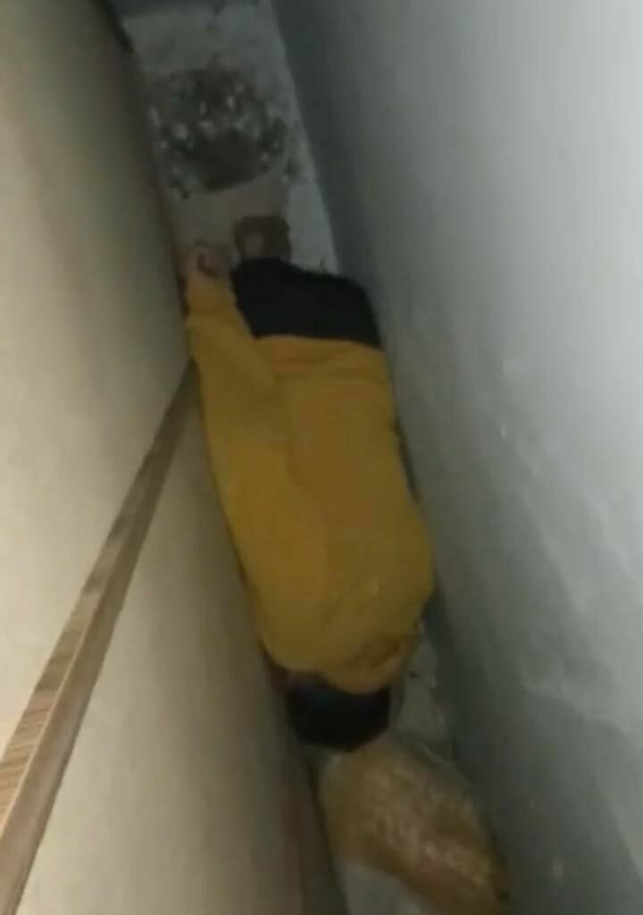 Aranan5