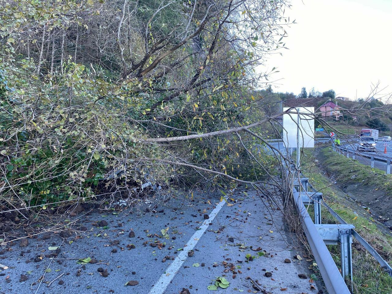 Artvin’de Heyelan Nedeniyle Karayolu Ulaşıma Kapandı3