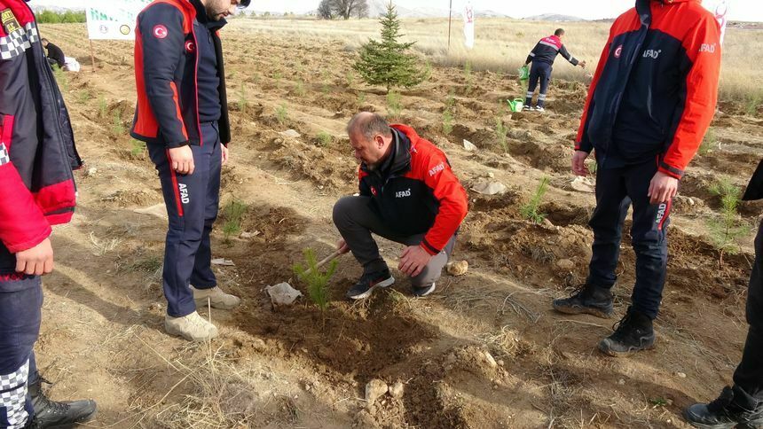 Burdur'da 100'Üncü Yıl Ormanına Bin Fidan Dikildi