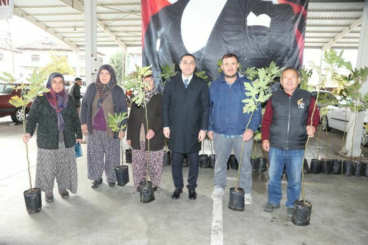 Burdur'da 5 Bin Incir Fidanı Dağıtıldı (2)