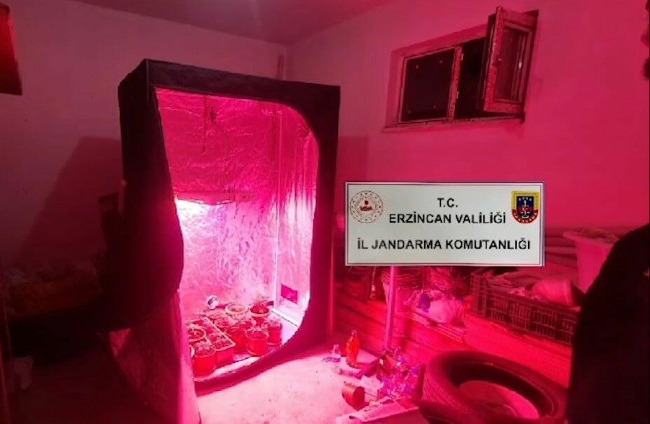 Hint Keneviri Yetiştirmek Için Kurduğu Sistem Şaşırttı