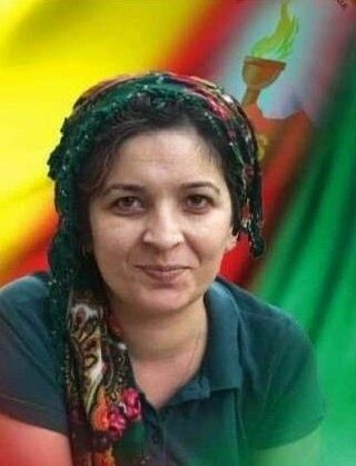 Kamışlı'da Sözde Maliye Sorumlu Terörist Öldürüldü