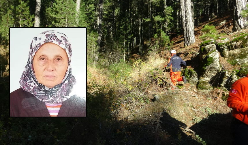 Muğla'da Çıntar Toplarken Kayboldu! 30 Saattir Aranıyor-1