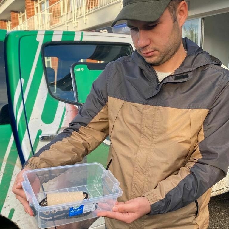 Piton Yılanını Sosyal Medyadan Satmaya Çalıştı! 