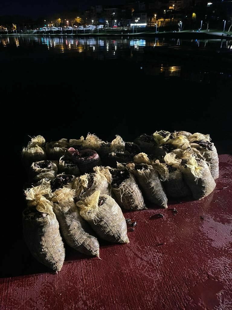 Sarıyer’de 4 Buçuk Ton Kaçak Midye Ele Geçirildi4