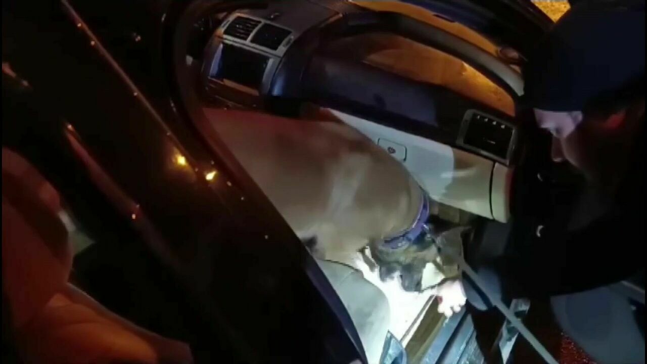 Adana'da 4 Bin Uyuşturucuyu Baklava Kutusuna Gizlediler 