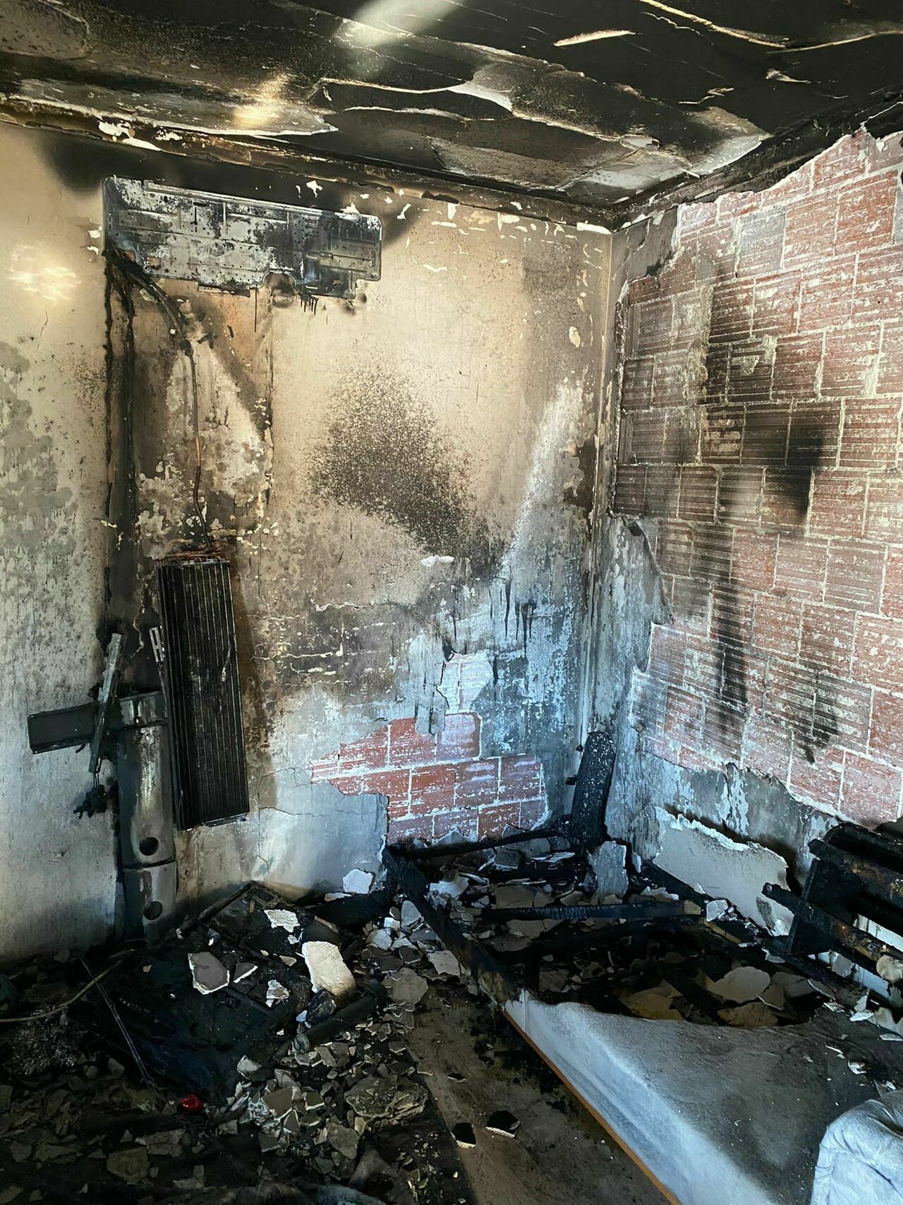 Bodrum'da Yangın Çıkan Evde Kediler Mahsur Kaldı