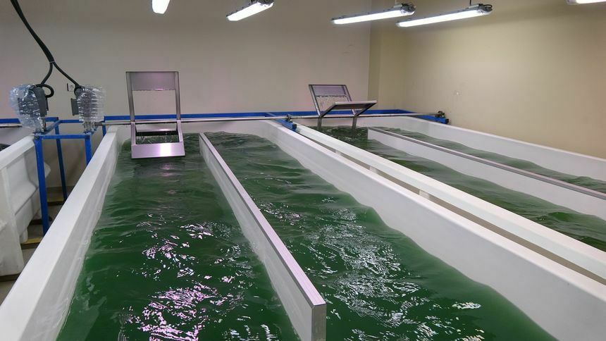Burdur'da Üretimi Başladı! 100 Gramı Bin Liradan Satılıyor