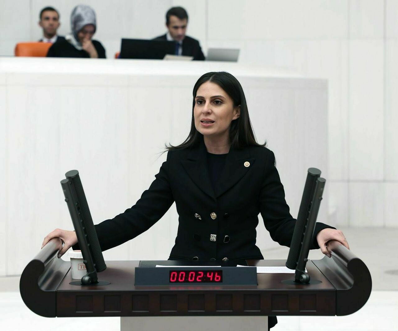 Chp Muğla Milletvekili Gizem Özcan