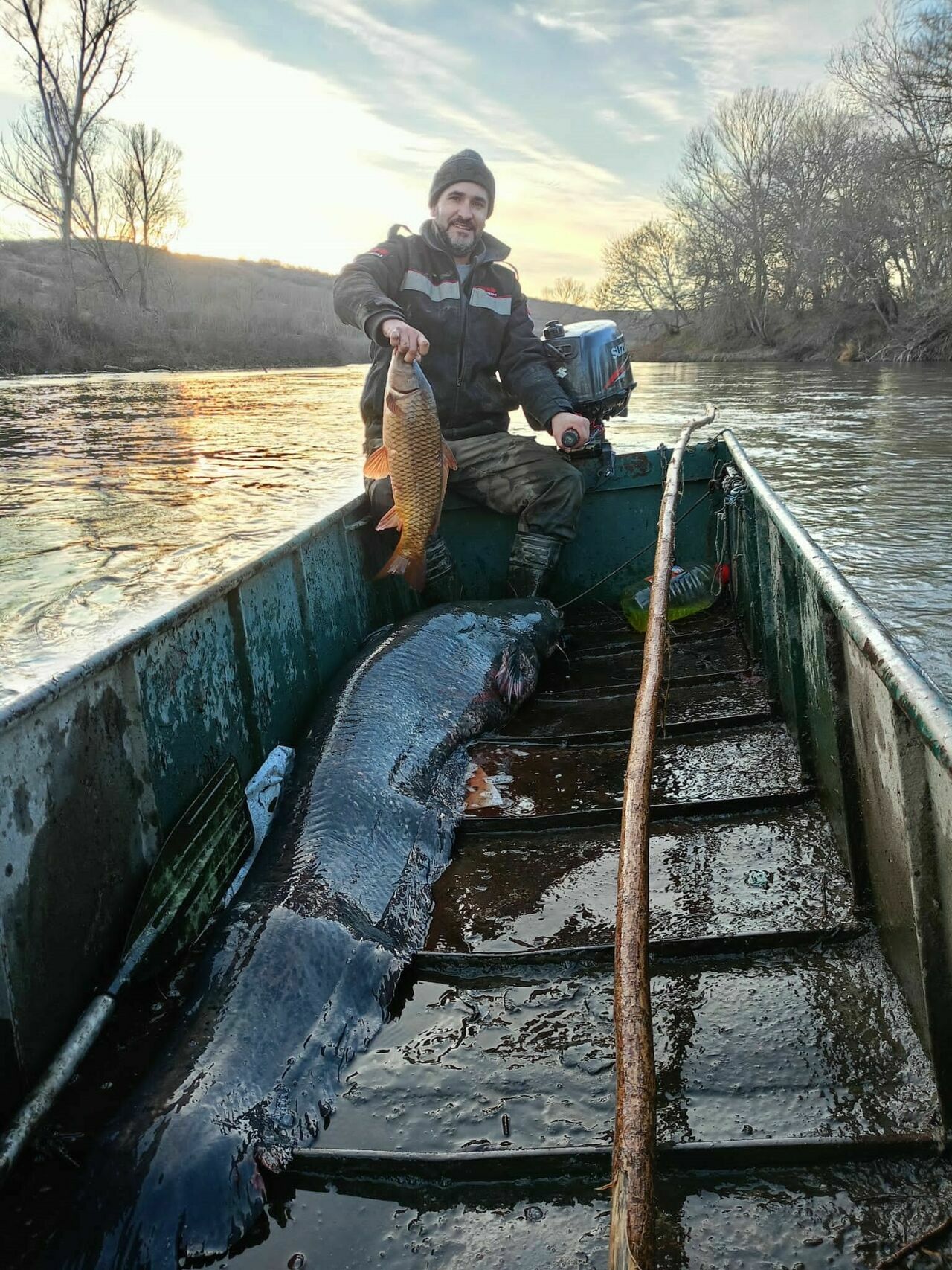 Dev Yayın Balığı Amatör Balıkçıların Ağına Takıldı!