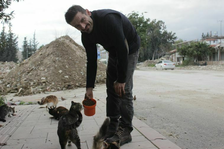 Hatay'da Sokak Hayvanlarına Can Oldu! Depremden Beri 200 Kedi Besliyor