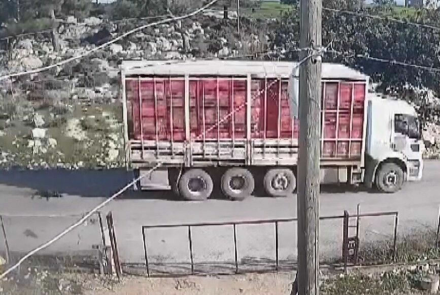 Mersin'de Kamyonun Köpeği Ezdiği Anlar Kameraya Takıldı