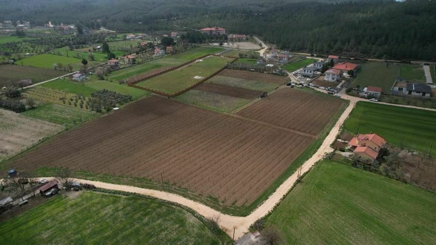 Muğla'da Çiftçi Ve Kooperatiflere Verilen Tarımsal Destekler