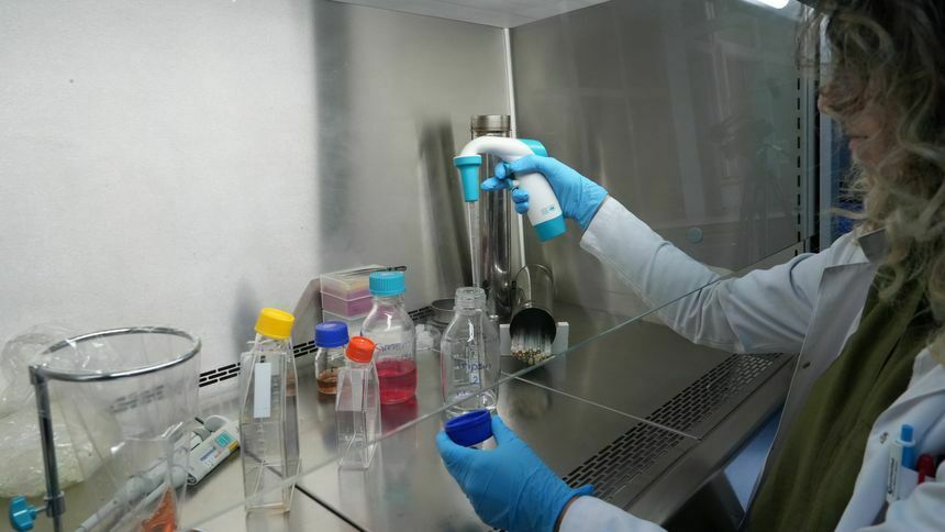 Korona aşısı olanlara devlet tazminat ödeyecek! Başvuru şartları açıklandı