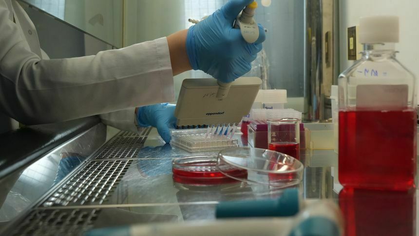 TTB’den flaş açıklama! 'Çok sayıda ölüm var ama söylenmiyor'