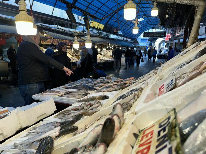 Akdeniz'de Balık Bolluğu! Balık Fiyatları Düşecek Mi 