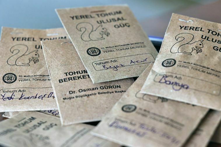 Çiftçilere 1 Milyon Yerli Tohum Dağıtılıyor 