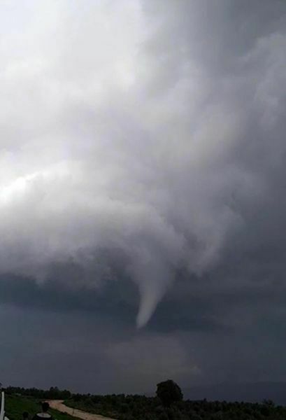 Dev Hortum Zeytin Ağaçlarını Kökünden Söktü  