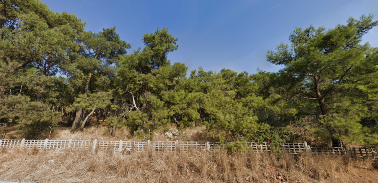 Ekran Resmi 2024 02 14 16.48.31