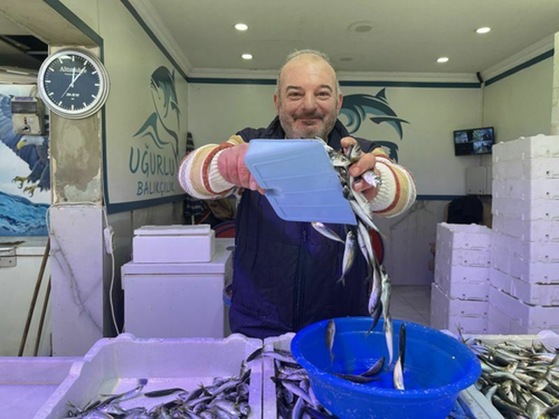 Hamsi Yerini Istavrite Bıraktı! İşte Istavrit Fiyatı (3) Result