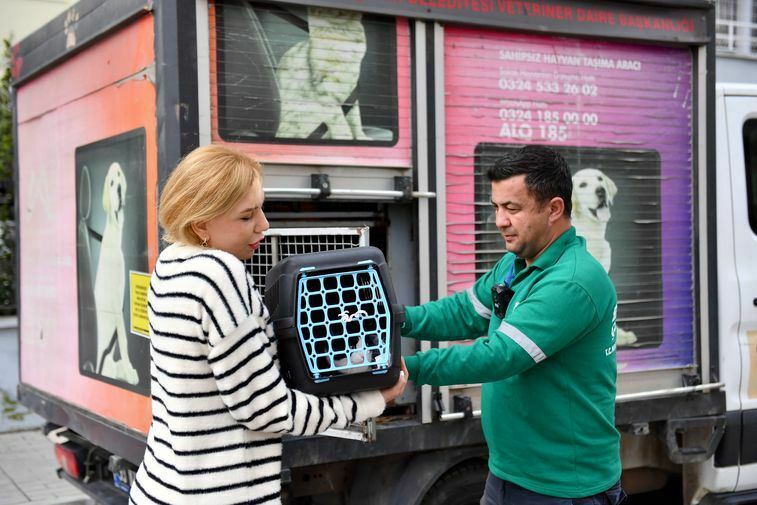 Mersin'de Demir Korkuluklara Saplanan Kedi Kurtarıldı 