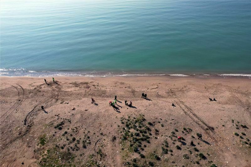 Mersin'de Deniz Kaplumbağalarının Yuvalama Alanları Temizlendi (3) Result