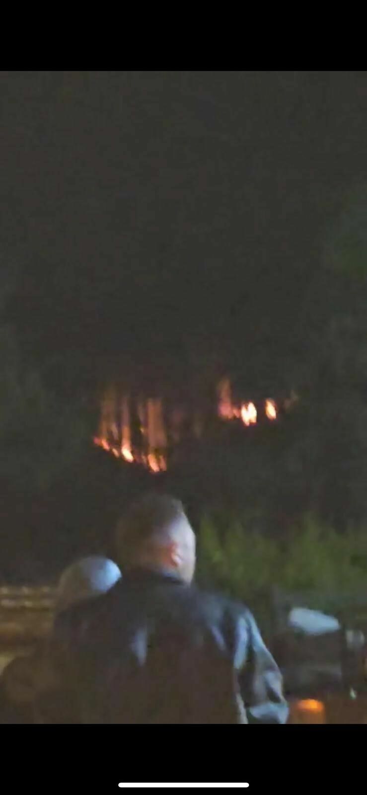 Uludağ Eteklerinde Çıkan Yangın3