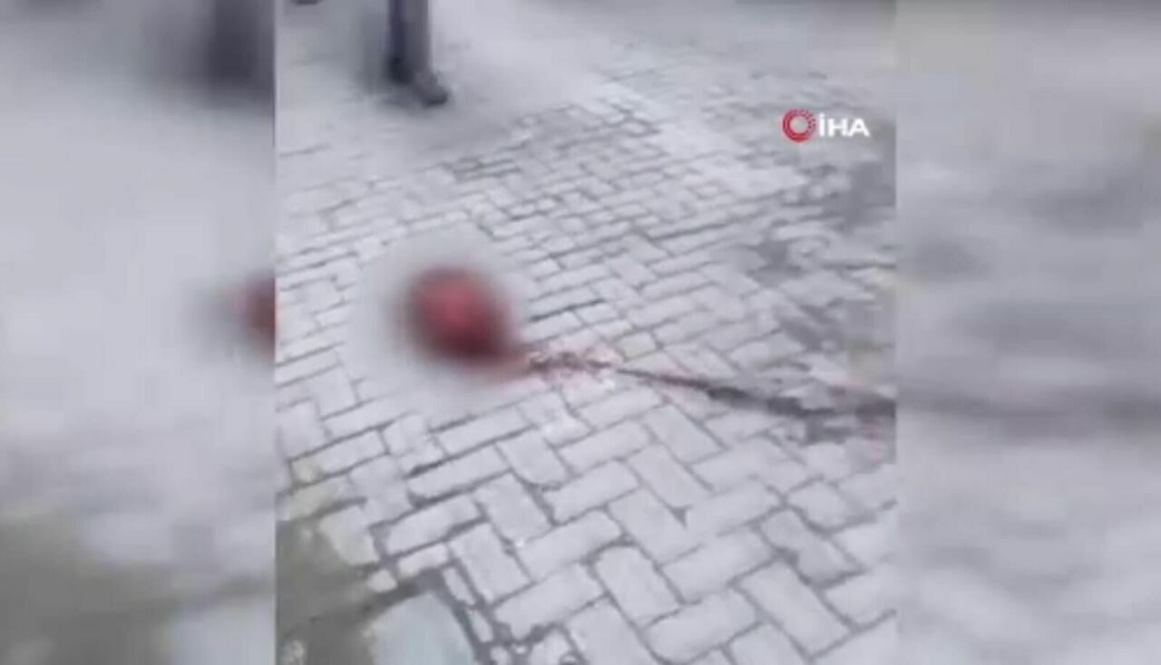 Whatsapp Image 2024 02 24 At 22.46.10