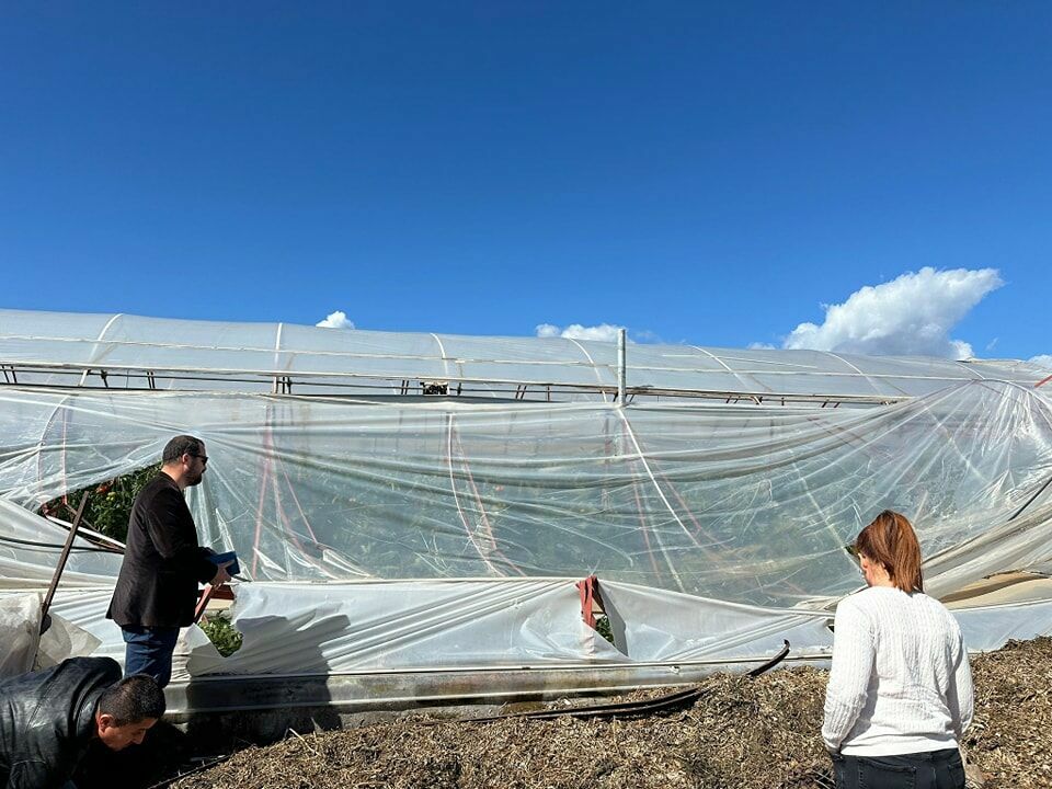 TMMOB Ziraat Mühendisleri Odası Antalya Şubesi felaket bölgelerinde incelemelerde bulundu