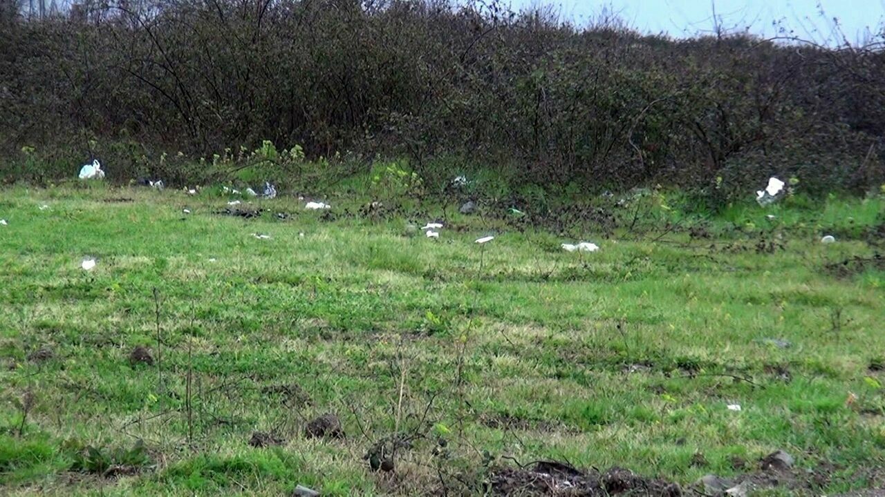 Muhtar yol kenarındaki çöp sorununa yaratıcı çözüm getirdi