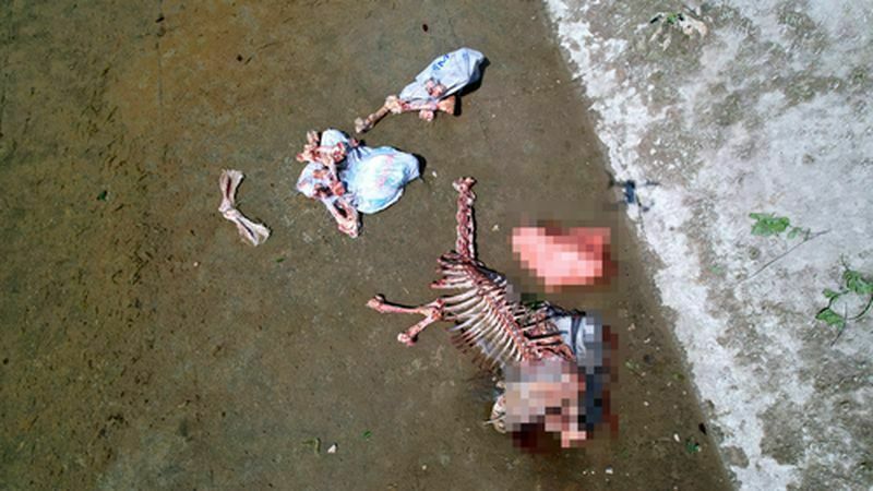 Adana'da Yüzlerce Kesilmiş At Ve Eşek Eti Kalıntısı Bulundu (2) Result