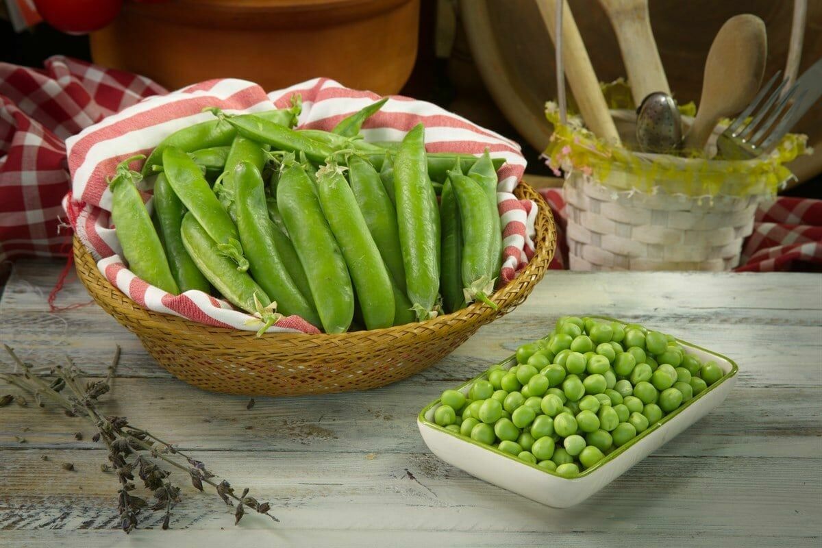 Hamilelikte Bebeğe Kilo Aldıran Besinler Mercimek: Hamilelikte, bebeğin sağlıklı gelişimi için beslenmeye özen göstermek önemlidir. Mercimek gibi baklagiller, yüksek protein içerikleri ve birçok temel besin maddesiyle dolu olmalarıyla bilinirler. Lahana ve Kuşkonmaz: Yeşil yapraklı sebzeler, hamilelik sırasında cenin ağırlığını artıran önemli yiyecekler arasındadır. Bu sebzeler, demir açısından zengindir ve günlük demir ihtiyacını karşılayabilirler. Yumurta: Hamilelikte beslenmeye yumurta eklemek, fetal kilo alımını destekleyebilir. Yumurtalar, A ve D vitaminleri açısından zengin bir kaynak olup, aynı zamanda demir gibi önemli mineralleri içerirler. Bezelye ve Fasulye: Bu besinler, demir ve protein açısından zengin kaynaklardır. Hamilelik diyetinin önemli bir parçası olabilirler. Tatlı Patates: Beta-karoten bakımından zengin olan tatlı patates, vücutta A vitamini olarak metabolize edilir. A vitamini, fetal dokuların ve hücrelerin sağlıklı büyümesi için kritiktir. Süt Ürünleri: Süt ürünleri, hamilelik sürecinde cenin ağırlığını artırmak için son derece faydalıdır. Soya Fasulyesi: Hamilelikte cenin ağırlığını artıran önemli besinlerden biri soya fasulyesidir. Bakliyat: Hamilelik sırasında fetal ağırlığı artırmanın ekonomik ve sağlıklı bir yoludur. Tavuk: Protein bakımından zengin olan tavuk, bebek büyümesi için ideal bir besindir. Somon: Omega-3 yağ asitleri açısından zengin olan somon balığı, hamilelik sırasında tüketilmesi oldukça faydalıdır.