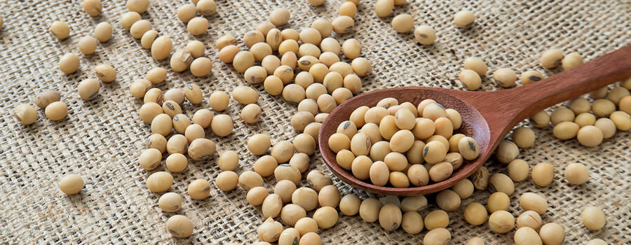 Hamilelikte Bebeğe Kilo Aldıran Besinler Mercimek: Hamilelikte, bebeğin sağlıklı gelişimi için beslenmeye özen göstermek önemlidir. Mercimek gibi baklagiller, yüksek protein içerikleri ve birçok temel besin maddesiyle dolu olmalarıyla bilinirler. Lahana ve Kuşkonmaz: Yeşil yapraklı sebzeler, hamilelik sırasında cenin ağırlığını artıran önemli yiyecekler arasındadır. Bu sebzeler, demir açısından zengindir ve günlük demir ihtiyacını karşılayabilirler. Yumurta: Hamilelikte beslenmeye yumurta eklemek, fetal kilo alımını destekleyebilir. Yumurtalar, A ve D vitaminleri açısından zengin bir kaynak olup, aynı zamanda demir gibi önemli mineralleri içerirler. Bezelye ve Fasulye: Bu besinler, demir ve protein açısından zengin kaynaklardır. Hamilelik diyetinin önemli bir parçası olabilirler. Tatlı Patates: Beta-karoten bakımından zengin olan tatlı patates, vücutta A vitamini olarak metabolize edilir. A vitamini, fetal dokuların ve hücrelerin sağlıklı büyümesi için kritiktir. Süt Ürünleri: Süt ürünleri, hamilelik sürecinde cenin ağırlığını artırmak için son derece faydalıdır. Soya Fasulyesi: Hamilelikte cenin ağırlığını artıran önemli besinlerden biri soya fasulyesidir. Bakliyat: Hamilelik sırasında fetal ağırlığı artırmanın ekonomik ve sağlıklı bir yoludur. Tavuk: Protein bakımından zengin olan tavuk, bebek büyümesi için ideal bir besindir. Somon: Omega-3 yağ asitleri açısından zengin olan somon balığı, hamilelik sırasında tüketilmesi oldukça faydalıdır.