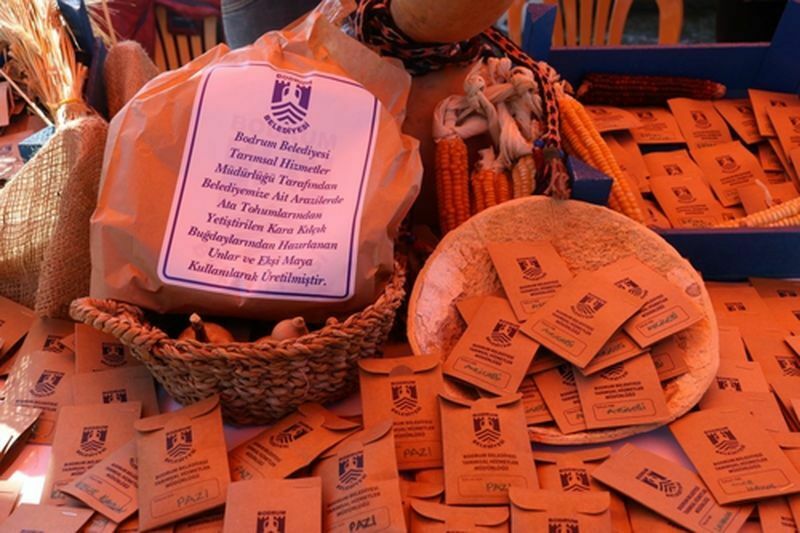 Bodrum Tohum Takas Şenliği Hazırlıkları Başladı (4) Result