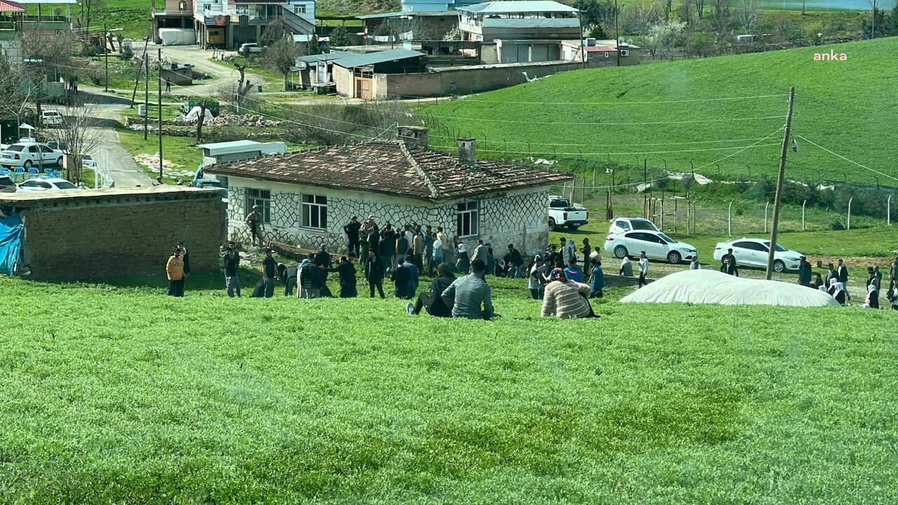 E50F7356 537E 4Bab 85A3 De5Cf8856D74 W