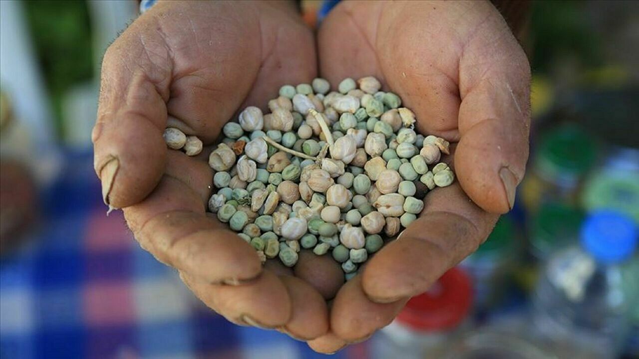 1042071536 2000 1125 1920X0 80 Be22D94Efc3055624Cdf2F90Accd627B